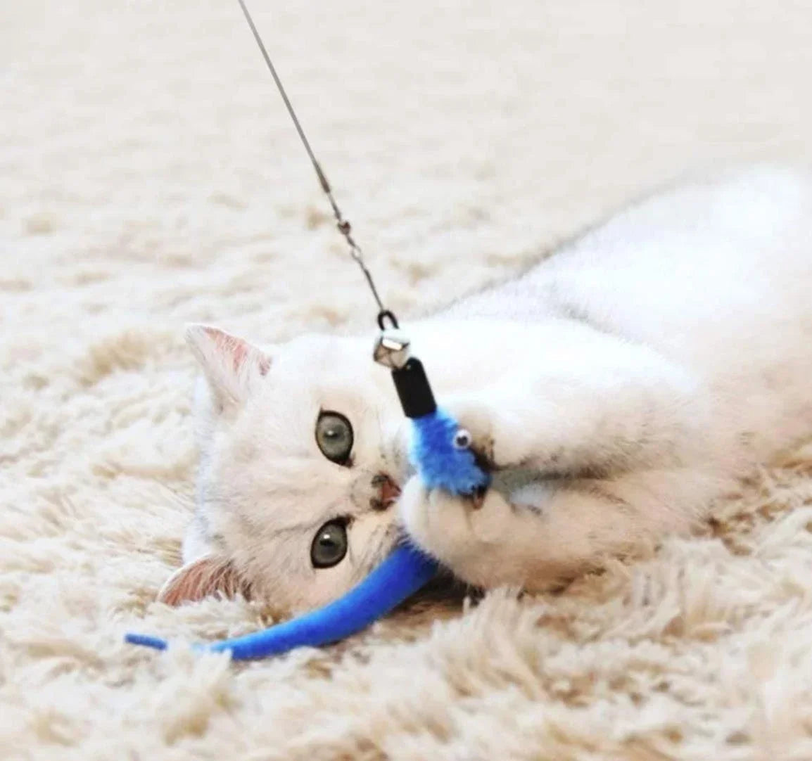Canne à pêche chat + 10 têtes à plumes en action