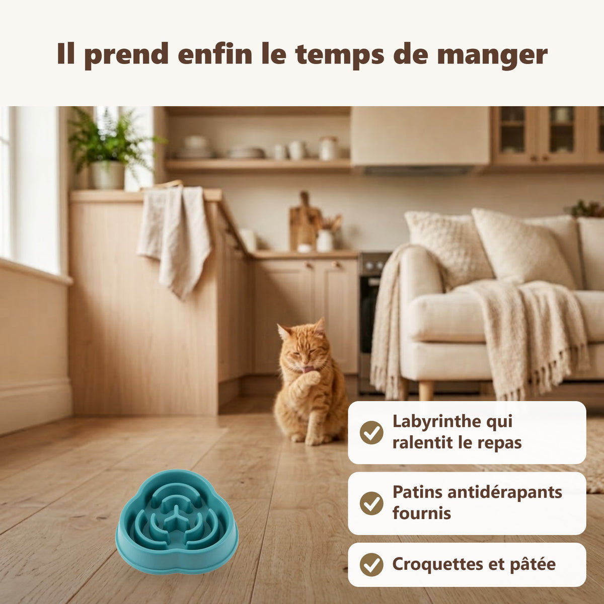 Gamelle anti : ses bénéfices au quotidien