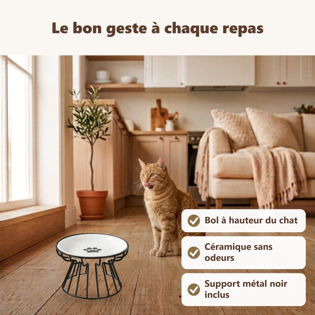 Gamelle chat surélevée en céramique : ses bénéfices au quotidien