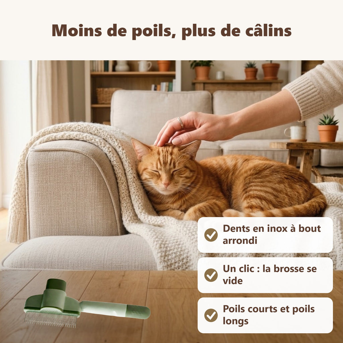 Brosse chat autonettoyante : ses bénéfices au quotidien