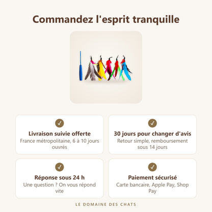 Canne à pêche chat + 10 têtes à plumes : livraison offerte, retours 30 jours