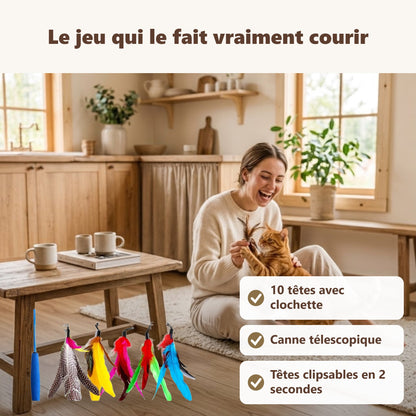 Canne à pêche chat + 10 têtes à plumes : ses bénéfices au quotidien