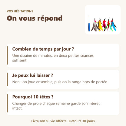 Canne à pêche chat + 10 têtes à plumes : vos questions, nos réponses