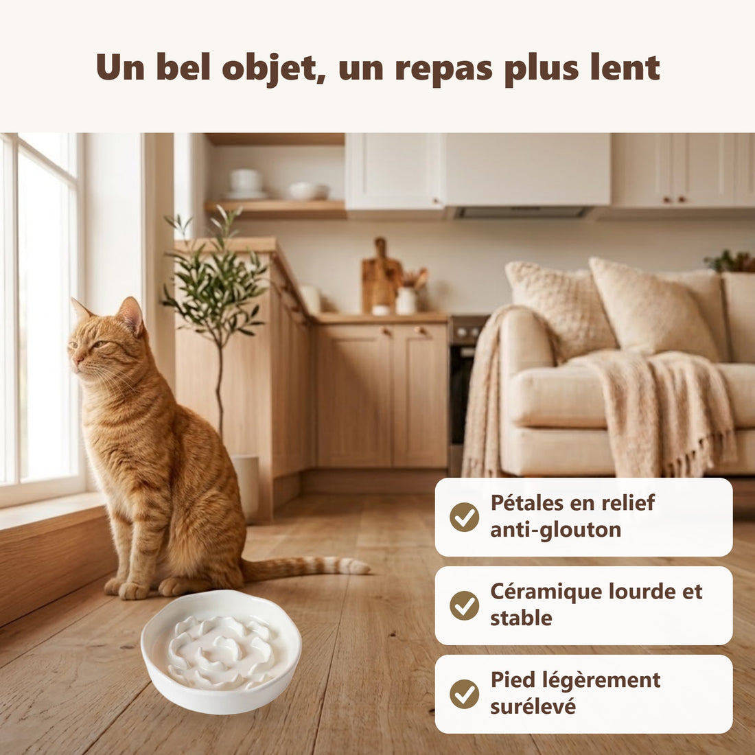 Gamelle anti : ses bénéfices au quotidien