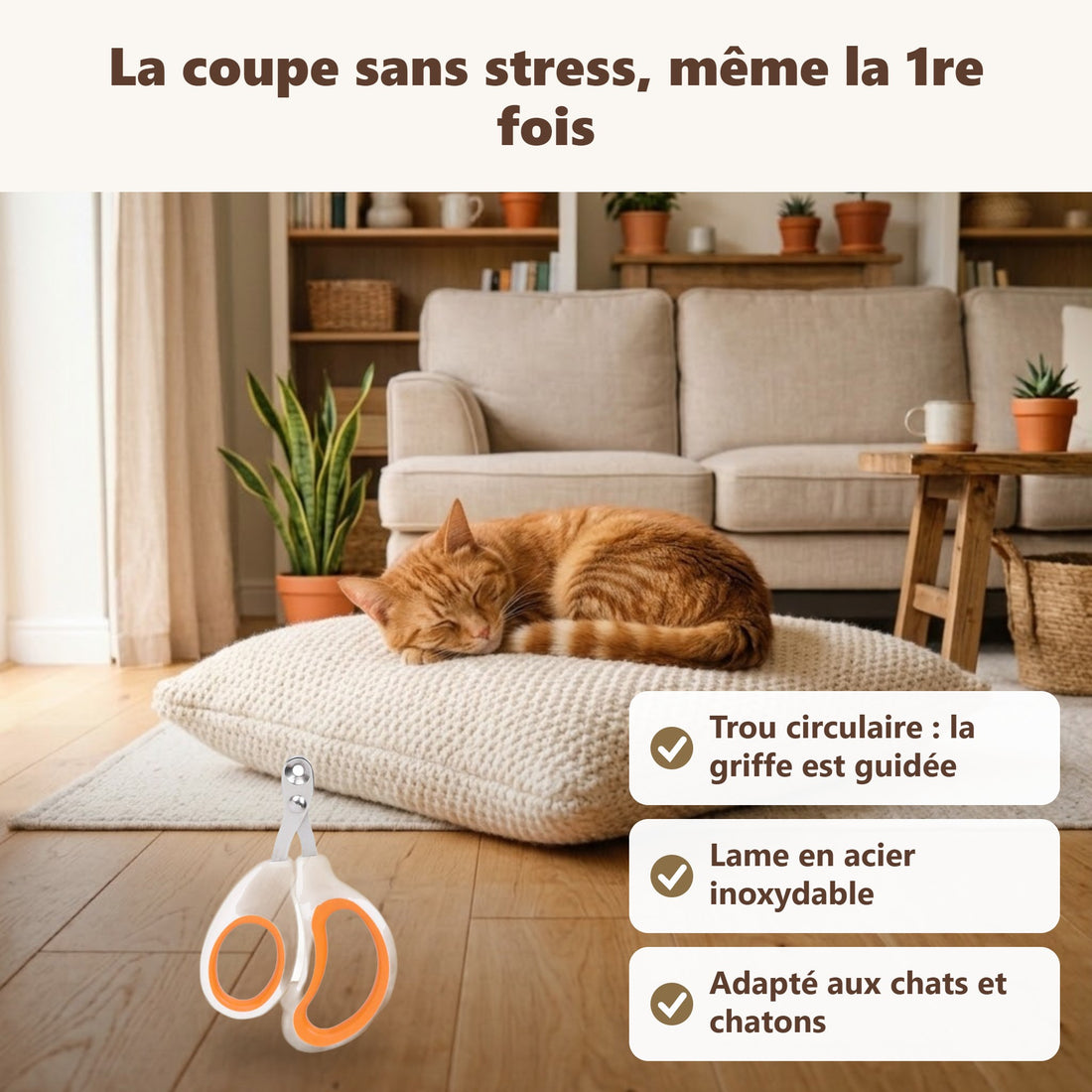 Coupe : ses bénéfices au quotidien