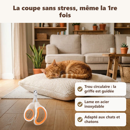 Coupe : ses bénéfices au quotidien
