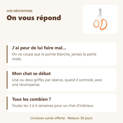 Coupe : vos questions, nos réponses