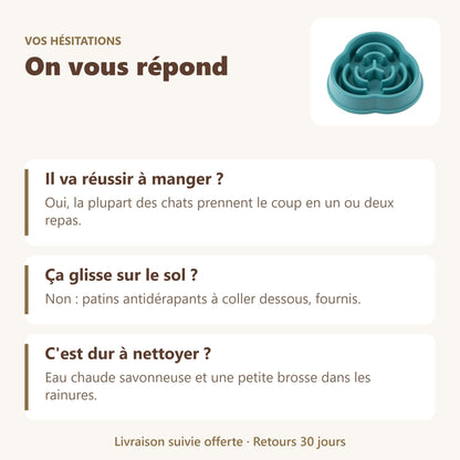 Gamelle anti : vos questions, nos réponses