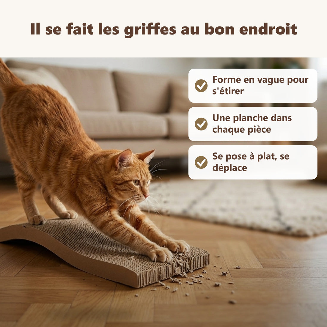 Griffoir chat carton ondulé : ses bénéfices au quotidien