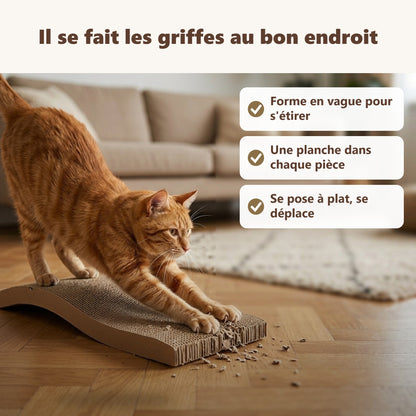 Griffoir chat carton ondulé : ses bénéfices au quotidien