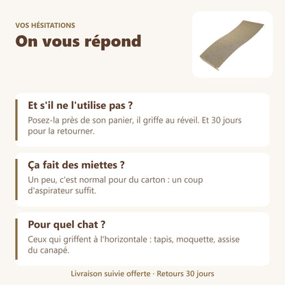 Griffoir chat en carton : vos questions, nos réponses