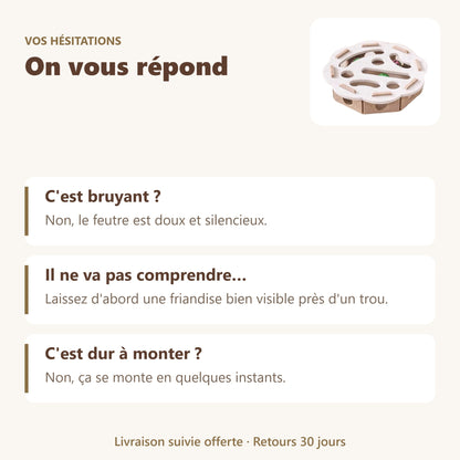 Jouet chat interactif : vos questions, nos réponses